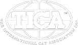 Логотип Tica